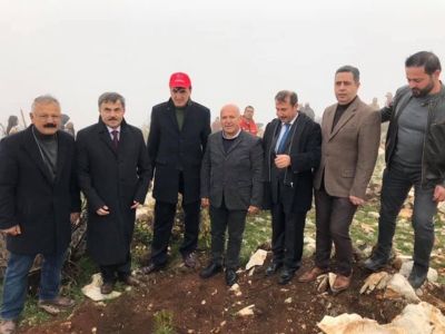 Hatay Kel Dağı ağaçlandırılıyor