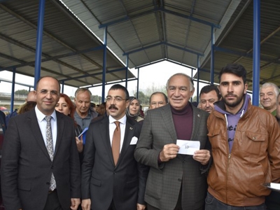 Milaslı genç çiftçilere büyükbaş hayvan desteği