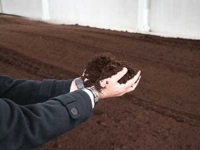 Çöl şartlarında dahi sebze yetiştirilebilecek!