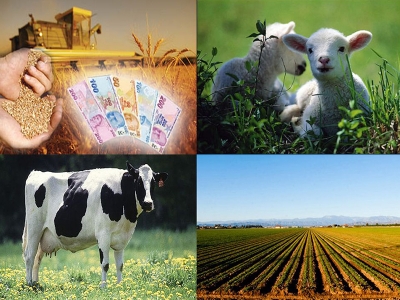 Destekleme ödemeleri başlıyor