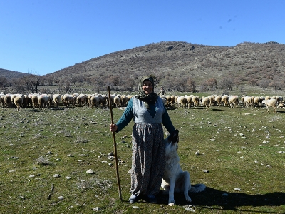 Köyüne döndü girişimcilik başarısına imza attı