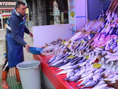 Kış biterken balık bereketi sürüyor