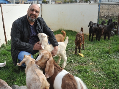 Tesisini ıslah etti, süt verimini 3 kat artırdı