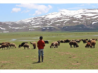 Besiciler yaylalarda karın kalkmasını bekliyor