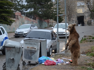 İftar vakti gelen davetsiz misafir