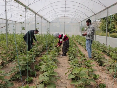 Genç çiftçiler üretime başladı