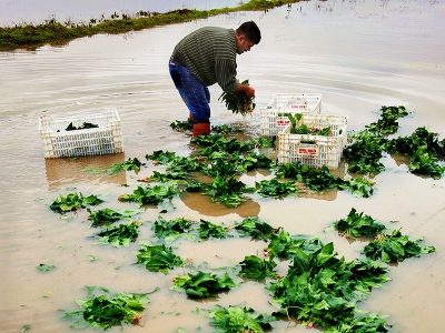 Dünya Çiftçiler günü kutlu olsun…