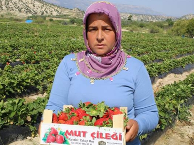 Hibe aldı, üretti, kazandı