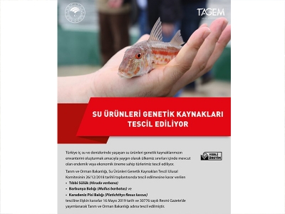 Bazı arı ve balık türleri tescil edildi
