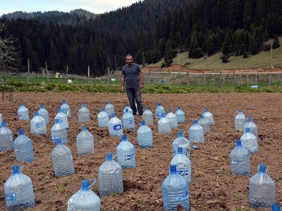 Zirai dona karşı ilginç çözüm
