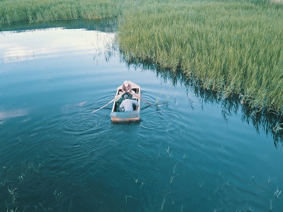 Ava giderken uçangözle avlandılar