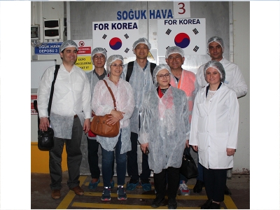 Kore’nin kirazı Manisa’dan