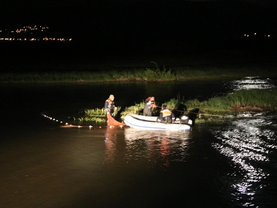 Balık katliamını jandarma önledi