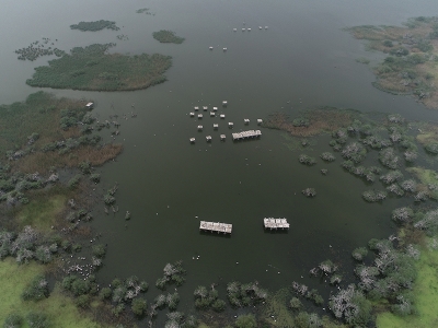 Kuşcenneti Milli Parkı'nda kuluçka zamanı