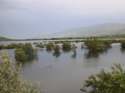 Geçen yıl kuruydu bu yıl taştı!