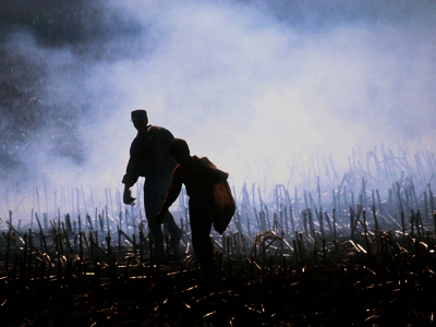 Jandarmadan anız uyarısı