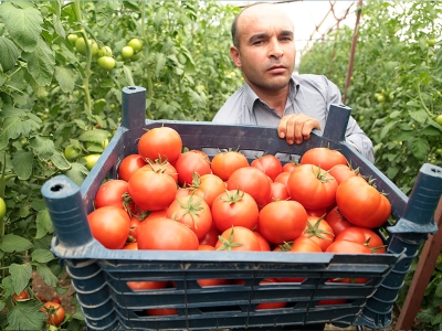 Serayla köye göçtüler şimdi de OSB kuracaklar