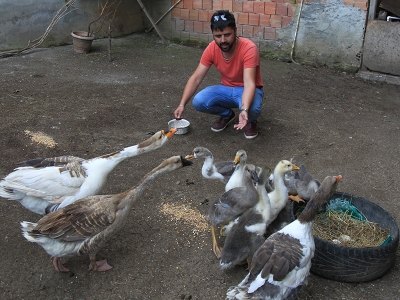 ‘Yumurta hırsızına’ kameralı takip