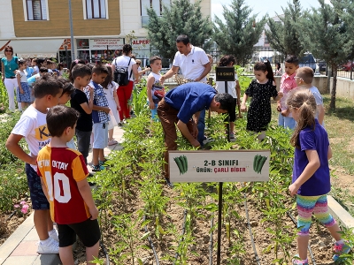Eğitim bitti ‘hasat’ bitmedi