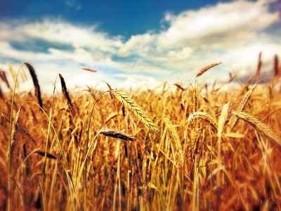 ÇKS kayıtlarında son gün 30 Haziran