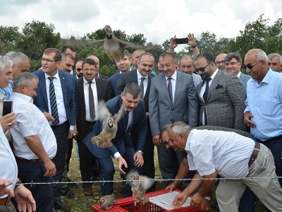 Süneye karşı keklikler görevde