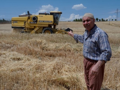 Devlet desteğiyle ekmeğini buğdaydan çıkarıyor