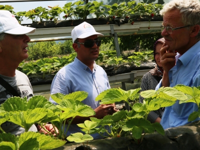 Bursa’da mobil ekipler sahada