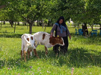 Van’ın örnek girişimcisi: Keve Çelik