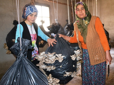 Zübeyde Kurt, devlet desteğiyle hayallerine kavuştu