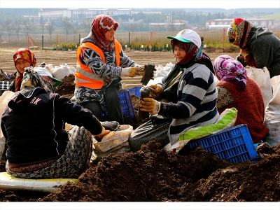 Kadınlardan ağaçlandırmaya büyük destek