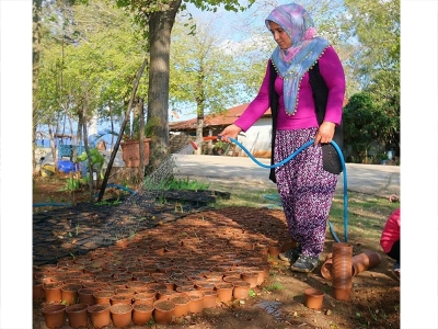 Lale ve sümbüller ekmek kapısı oldu