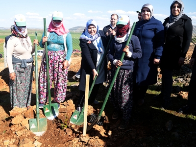 “Ölümsüzlük İksiri”nin tohumları atıldı