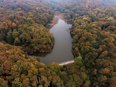 Zararlılar için 8 milyon lira harcandı…