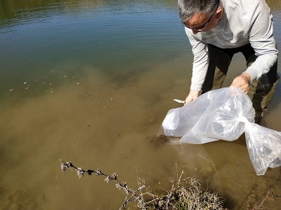 Doğa da kazanıyor, balıkçılar da…