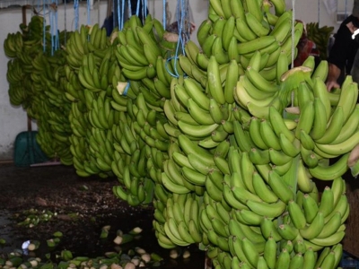 Maldivler'e Türk muzu