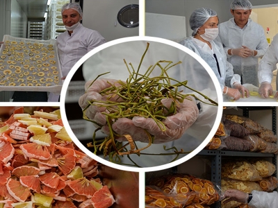 Tarım engel tanımaz