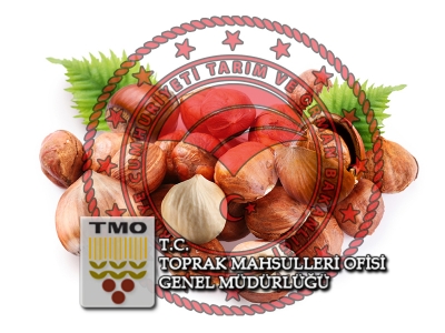 Fındıkta yol haritası belirlenecek