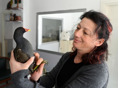 Kedinin ağzından kurtuldu