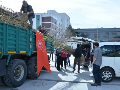Ağaçlar çiçeklenecek süne azalacak