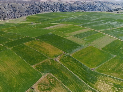 Nisan karı hububata yaradı