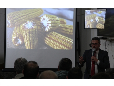 Çanakkale’de yerli mısır tanıtıldı