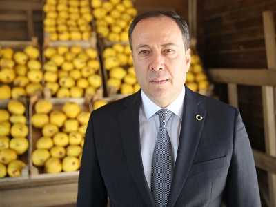 Ayvadan 13,4 milyon TL ihraç geliri