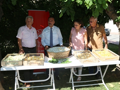 Bursa’da yaş koza hasadı başladı