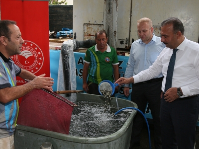 Bursa’dan 15 ile sazan yavrusu gönderildi