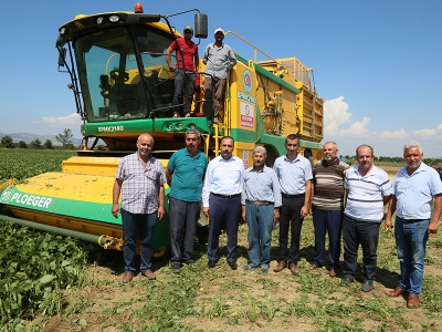 Yenişehir’de fasulye hasadı başladı