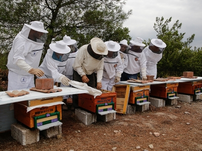 Köyün şehirli kadınlarından bal mesaisi