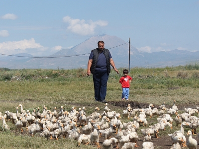 Pazardan aldığı tavukla çiftlik kurdu