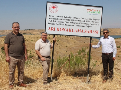 Adıyaman’ın yerli arıları tescilleniyor