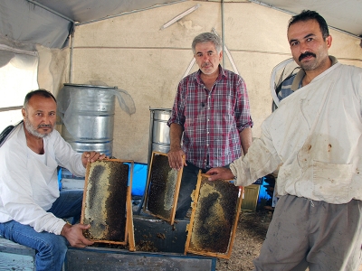 Türk çam balı uluslararası işaret yolunda
