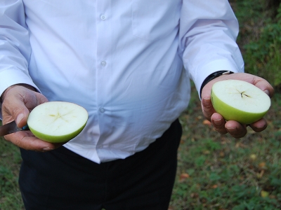 Bu elmanın adı: Ertuğrul Gazi